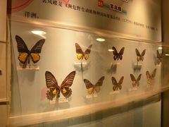 -吉林省自然博物馆