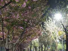 -西北农林科技大学(北校区)