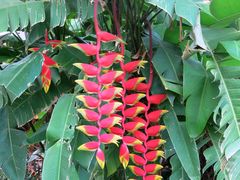 -柬埔寨国家博物馆