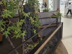 -川成元·麻辣香锅(凯德MALL西直门店)