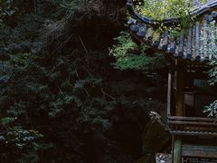 -藏龙百瀑风景区
