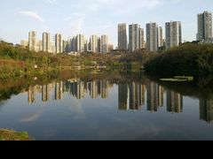 -重庆彩云湖湿地公园