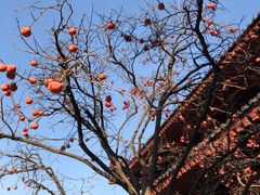 -西安华清御汤酒店