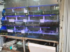 -来之顺海鲜菜馆·青岛菜·始于1993(栈桥店)