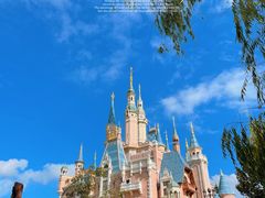 -上海迪士尼度假区