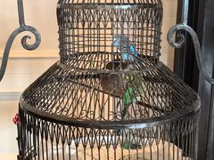 -上海总会SHANGHAICLUB(兴业太古汇店)