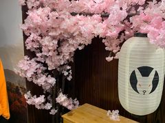 -白兔子密室(长寿路店)