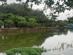 -满記土窑烧鷄波浪山莊