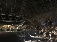 -世界恐龙谷景区