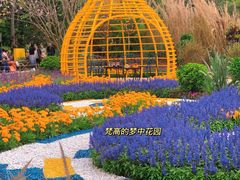 -深圳仙湖植物园