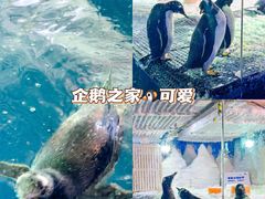 -郑州银基冰雪世界