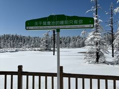 -瓦屋山景区