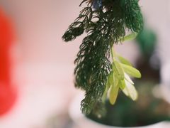 -星光摄影器材城