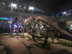 -自贡恐龙博物馆