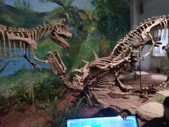 -自贡恐龙博物馆