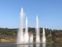 -飞凤山奥体公园