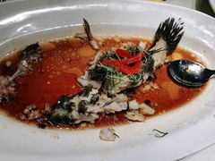 -宝燕壹号(徐汇店)