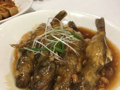 -稻香酒家·33年老字号·港式粤菜(富邦中心店)