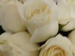 -循礼门鲜花花市(武汉循礼门店)