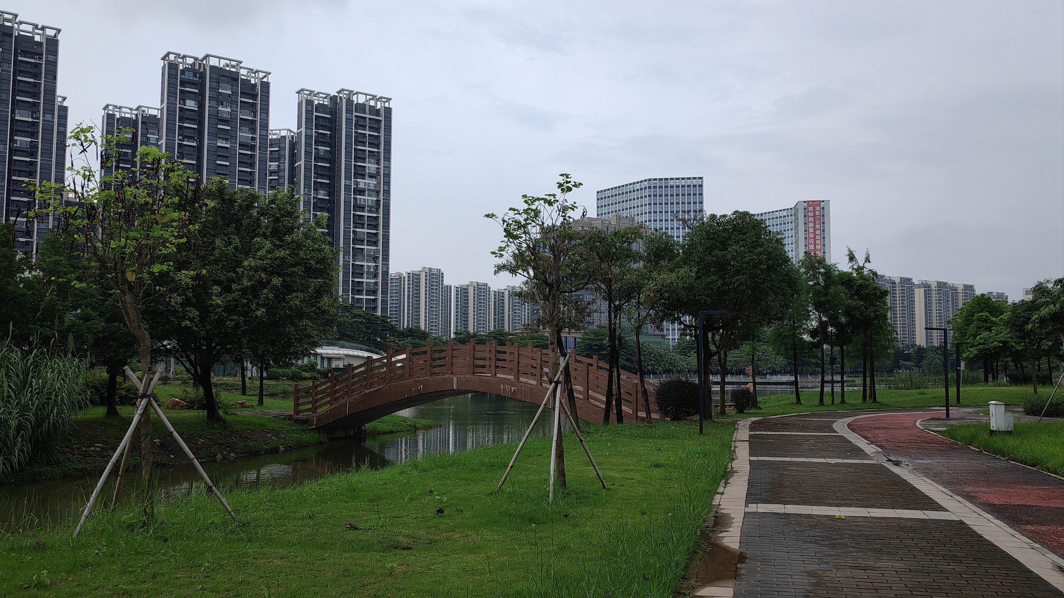 广东江门蓬江区园山湖公园每一个视角皆是风景