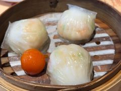 -点都德·毕德寮