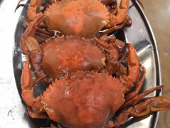 -南沙十九涌渔人码头-南门