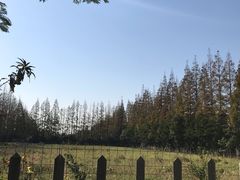 -前小桔亲子创意农场·草莓采摘·露营烧烤