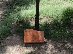 -黄帝陵