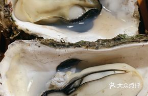 Steamed Oysters with Special Flavor