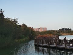 -五缘湾湿地公园