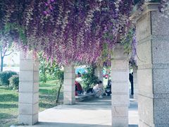 -歌斐颂巧克力小镇