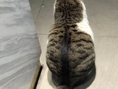 -UNIUNI(凯瑟琳广场店)