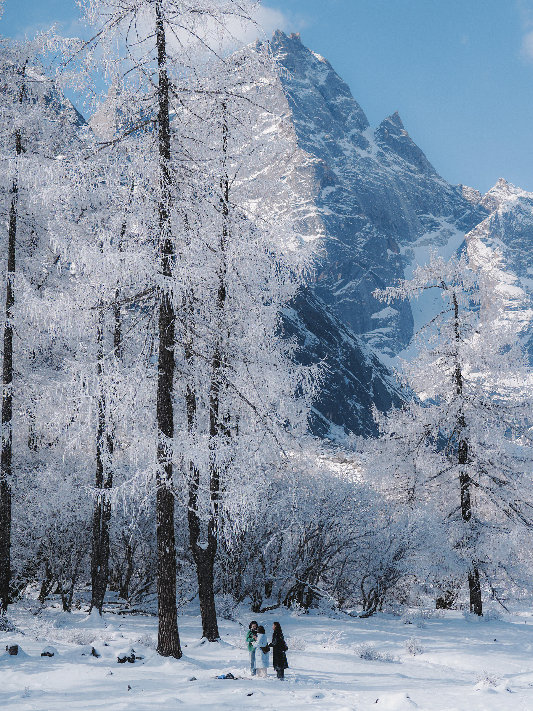 冬天下雪的图片实景图片