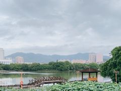 -西湖公园(鼓楼区)