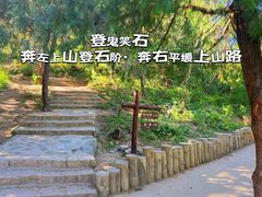 -北京西山国家森林公园