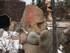-汉拿山温泉度假酒店