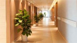 -重庆安琪儿妇产医院-妇幼保健联盟医院