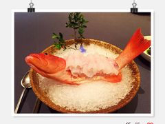 -晶采轩(虹桥路店)