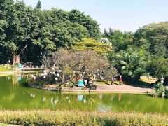 -广州雕塑公园