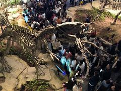 -自贡恐龙博物馆