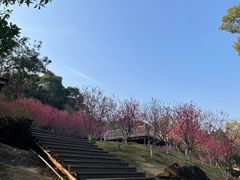 -八仙山公园