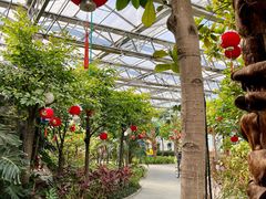 -南宫五洲植物乐园