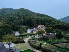 -莫干山风景区