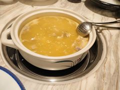 -汤城·料青山