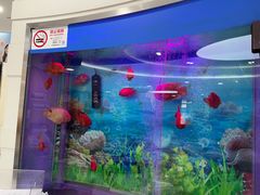 -雅悦齿科(顾村公园店)