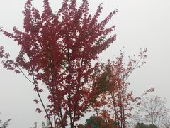 -江南大学(蠡湖校区)