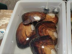 -十八字金·银饰·开蚌DIY·手工体验团建(魏公芳华里店)