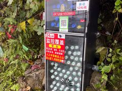 -九峰山