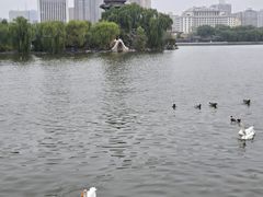 -迎泽公园