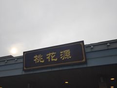 -金鸡湖桃花岛